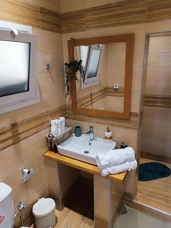 Zois Apartment أرتيميدا المظهر الخارجي الصورة